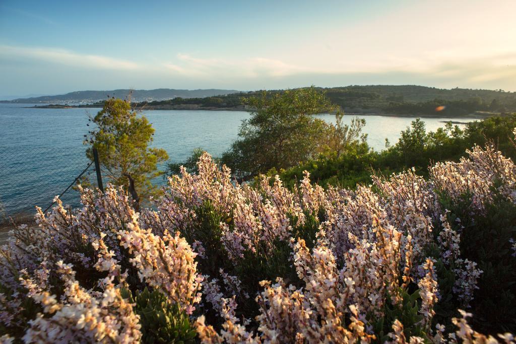 Villa Irini Porto Cheli Buitenkant foto