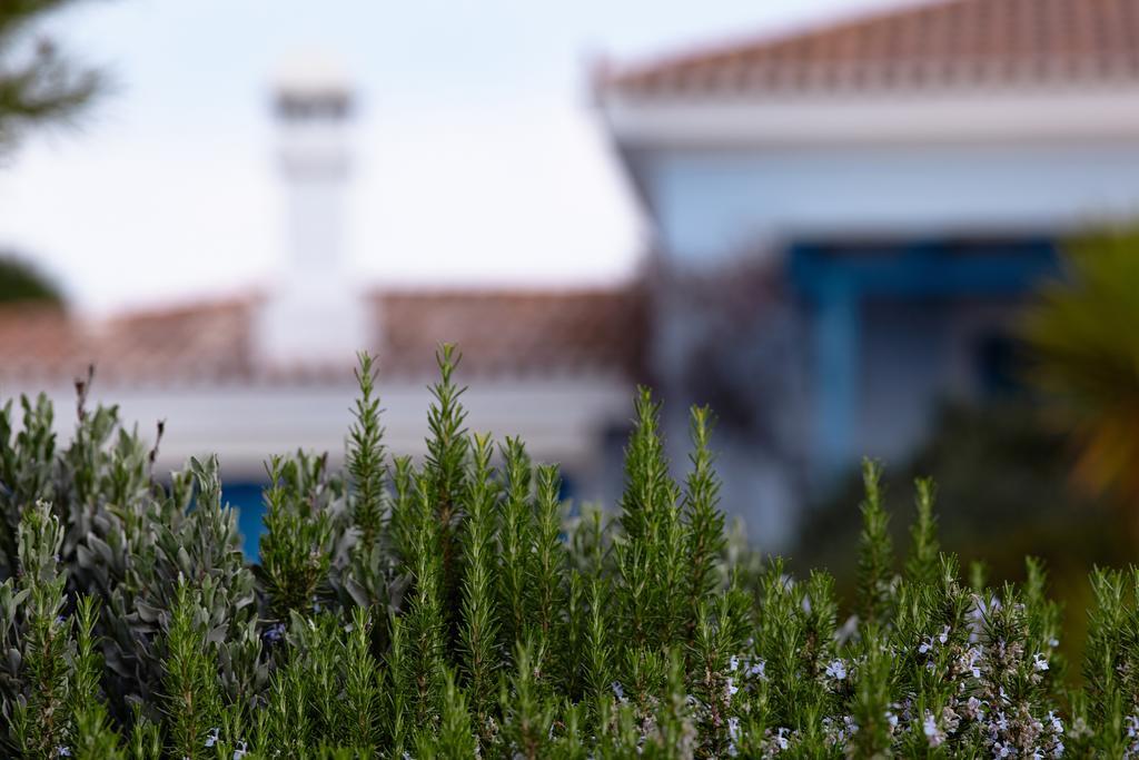 Villa Irini Porto Cheli Buitenkant foto